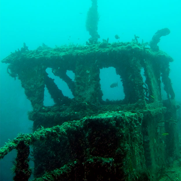 Key Largo wreck dive photo 7