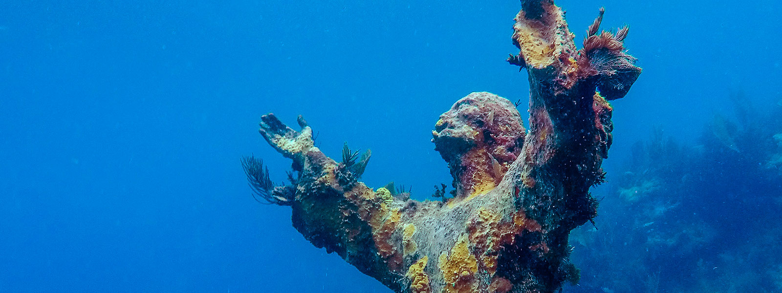 How To Clean Your Snorkeling Gear