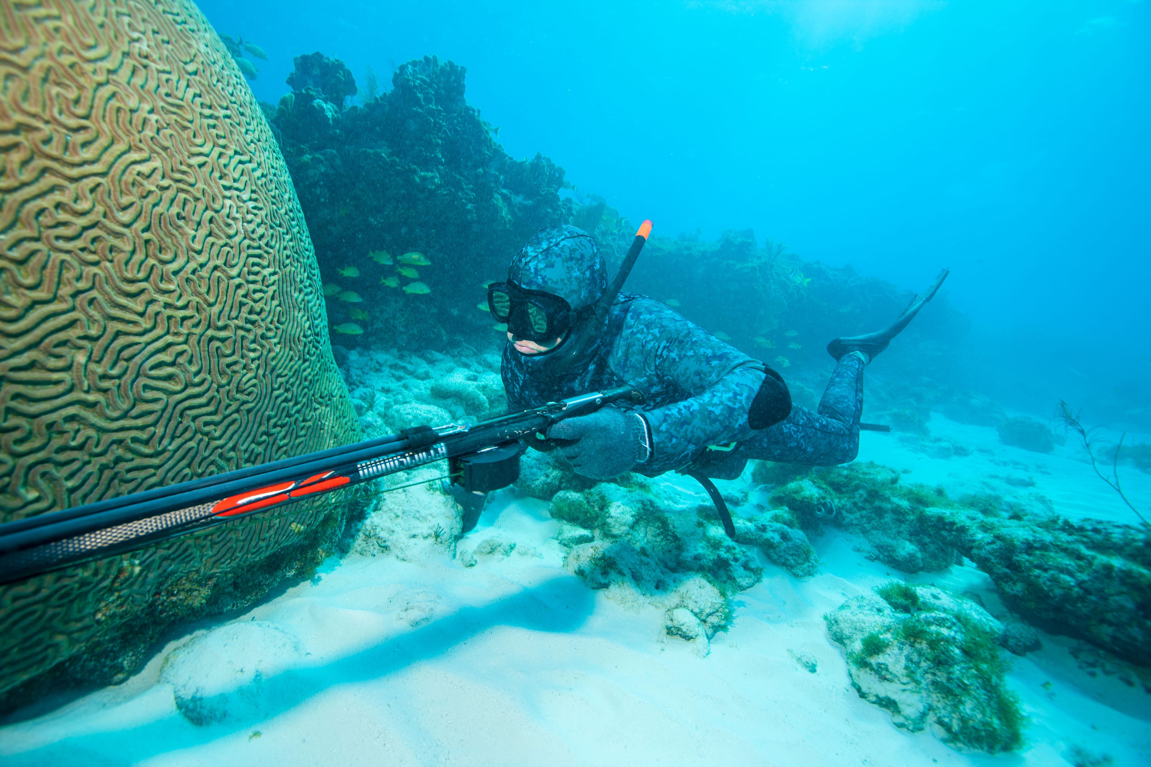 Freediver descending toward reef structure in the Florida Keys