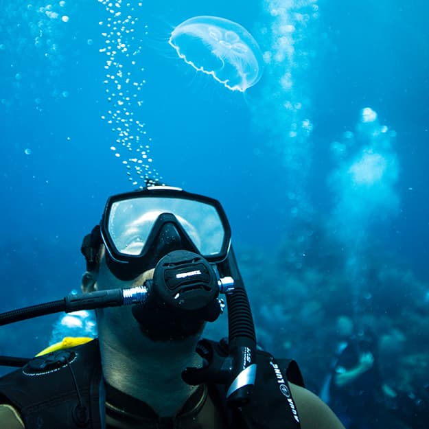 Optional ocean dives on Florida Keys reefs