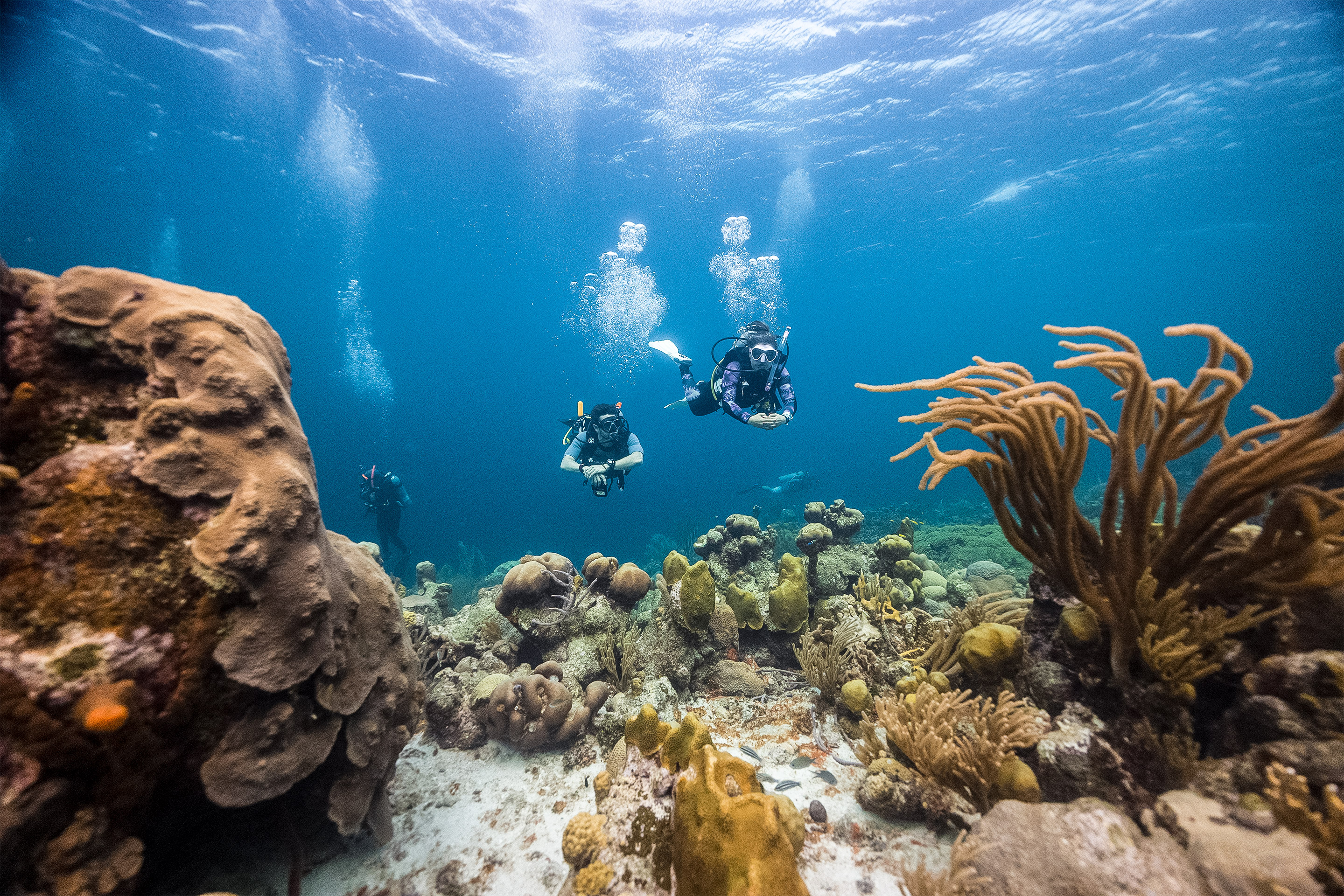 Scuba divers exploring Key Largo dive sites