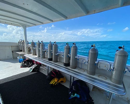 Certified Open Water divers swimming independently on a Key Largo reef