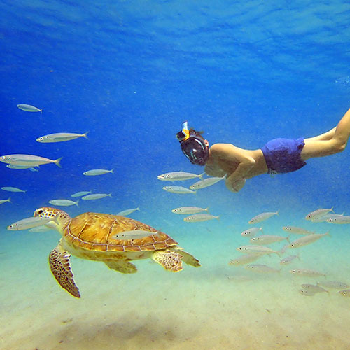 Ocean Reef Aria QR+ Snorkeling Mask