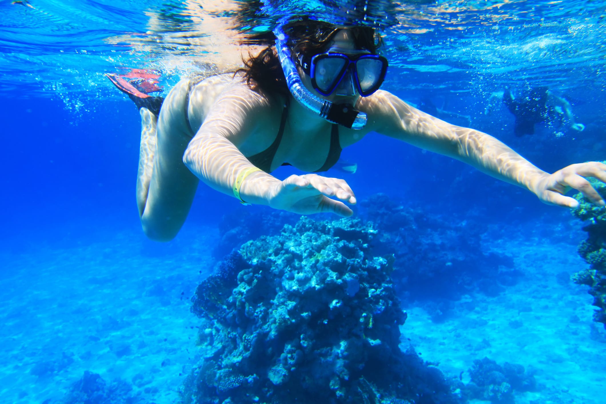 Best places to go snorkeling in Key Largo