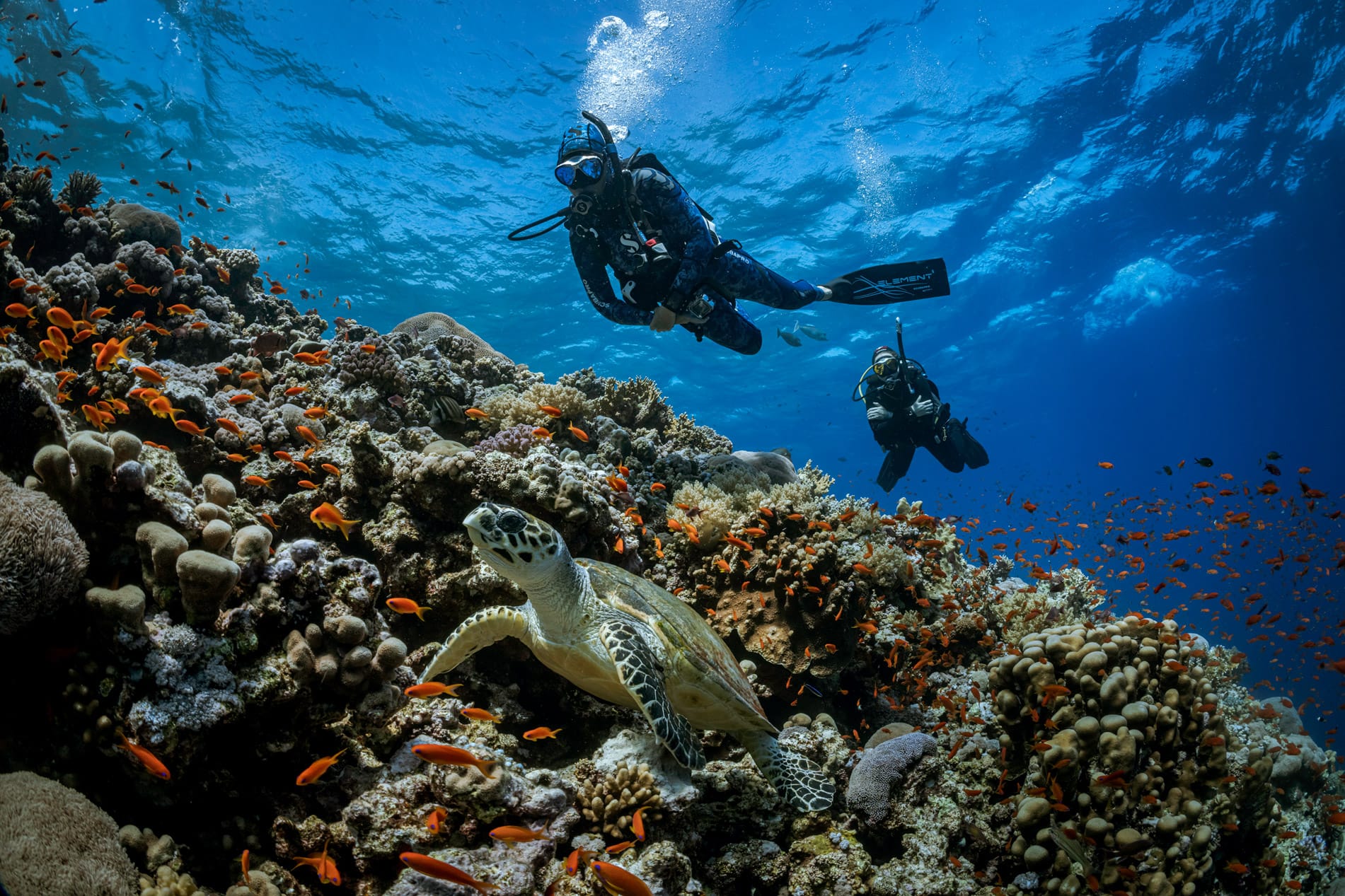 Calm shallow reef in Key Largo with high visibility, typical of certification training conditions