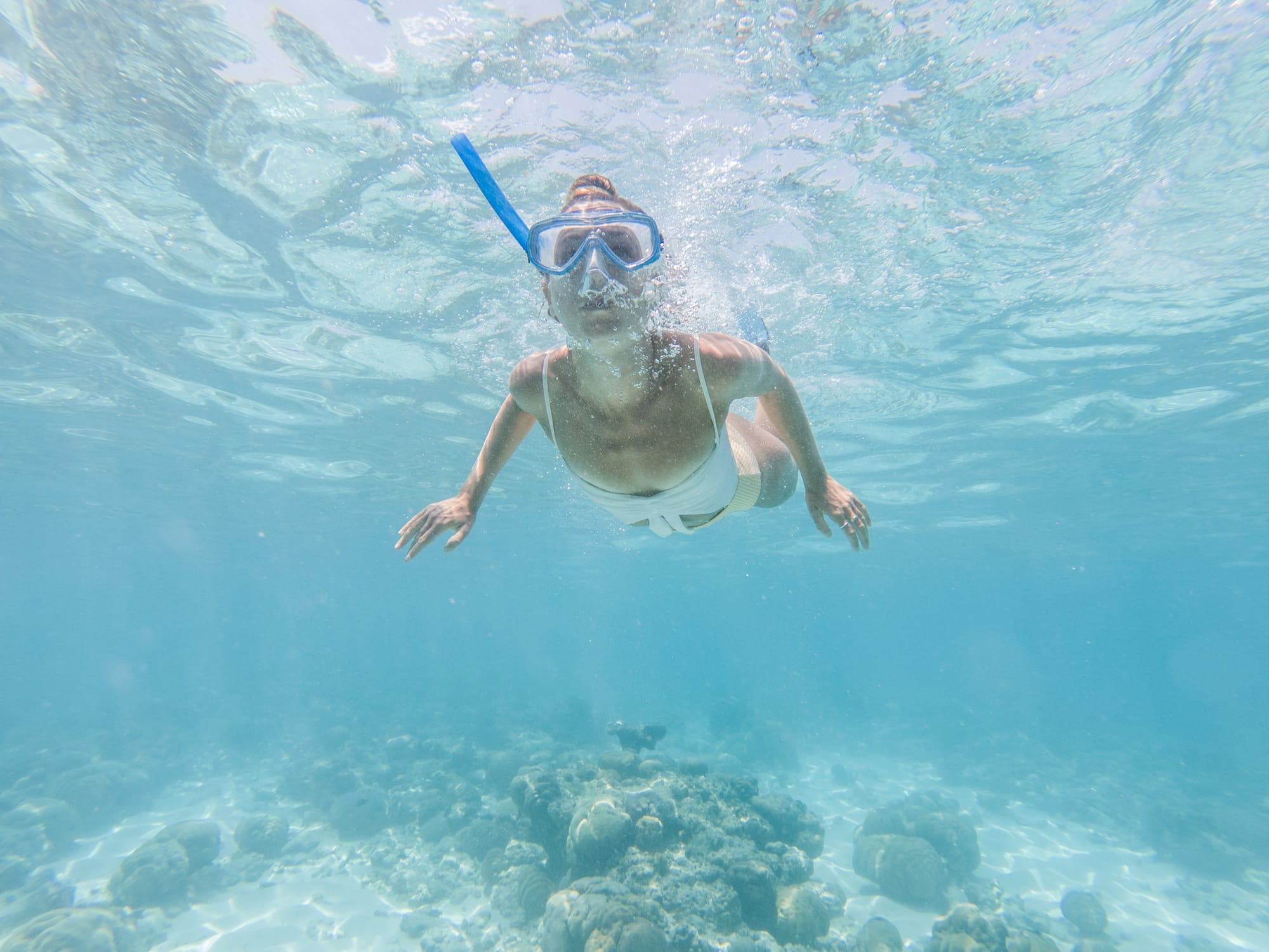 Best snorkeling in Key Largo
