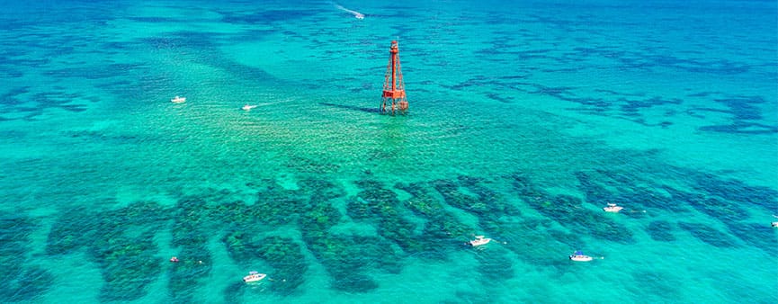 Wide-angle coral reef scene in the Florida Keys National Marine Sanctuary off Key Largo