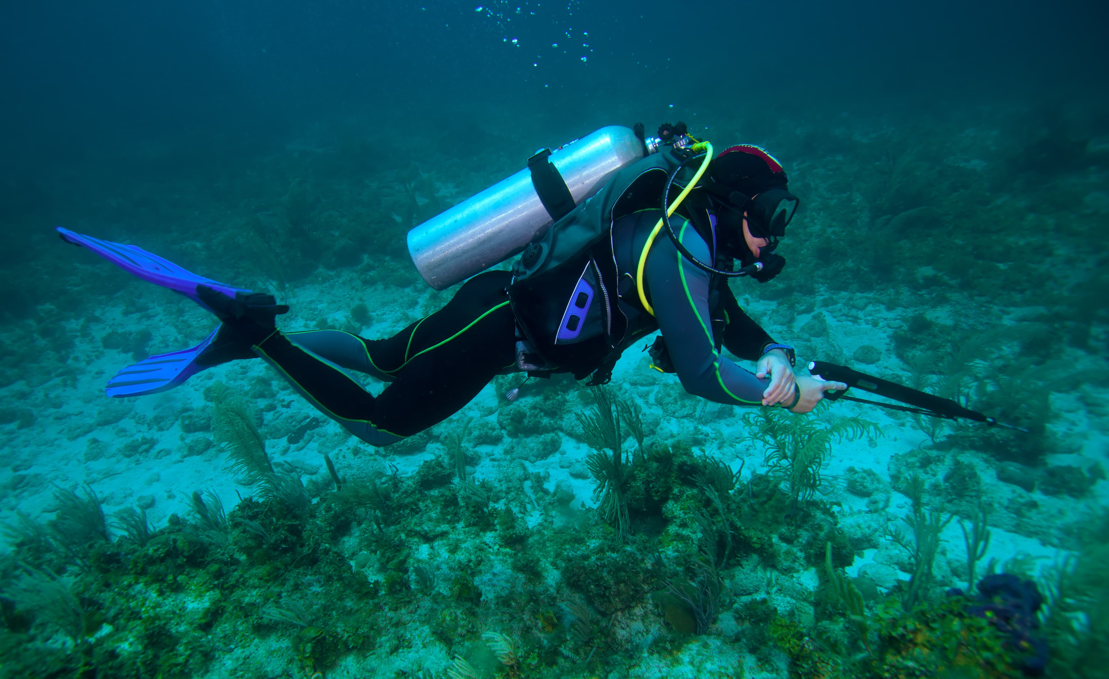 Private Spearfishing Charter in Key Largo