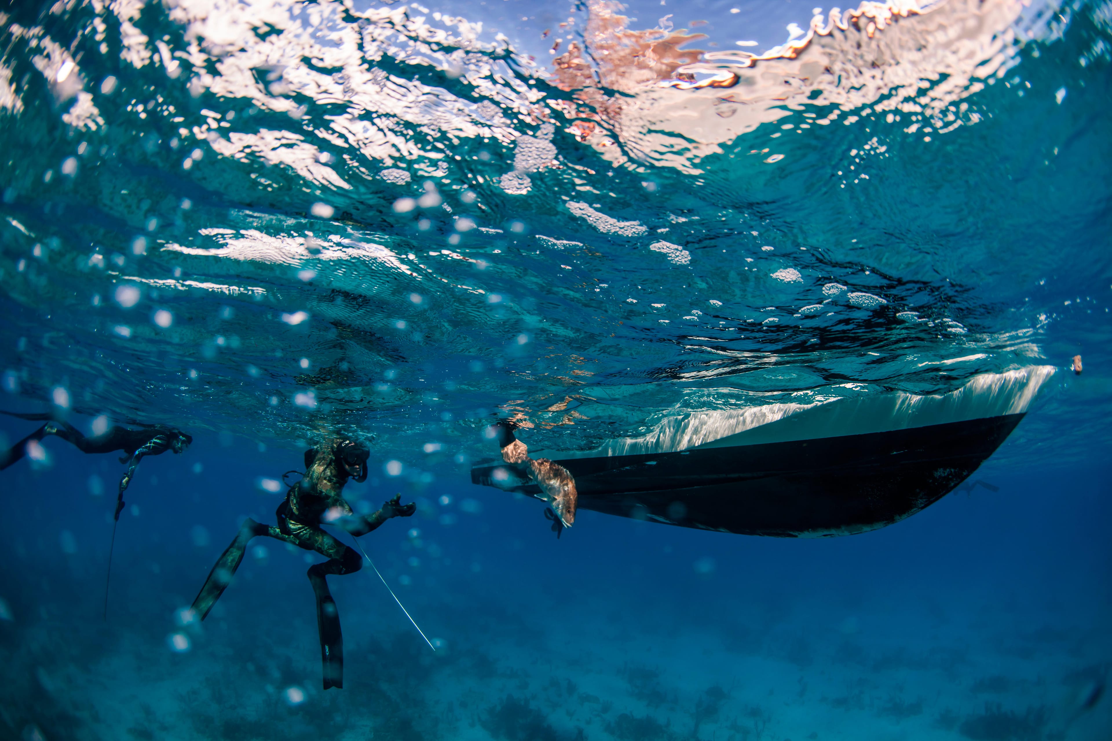 Florida Keys spearfishing, lobster, and lionfish charters