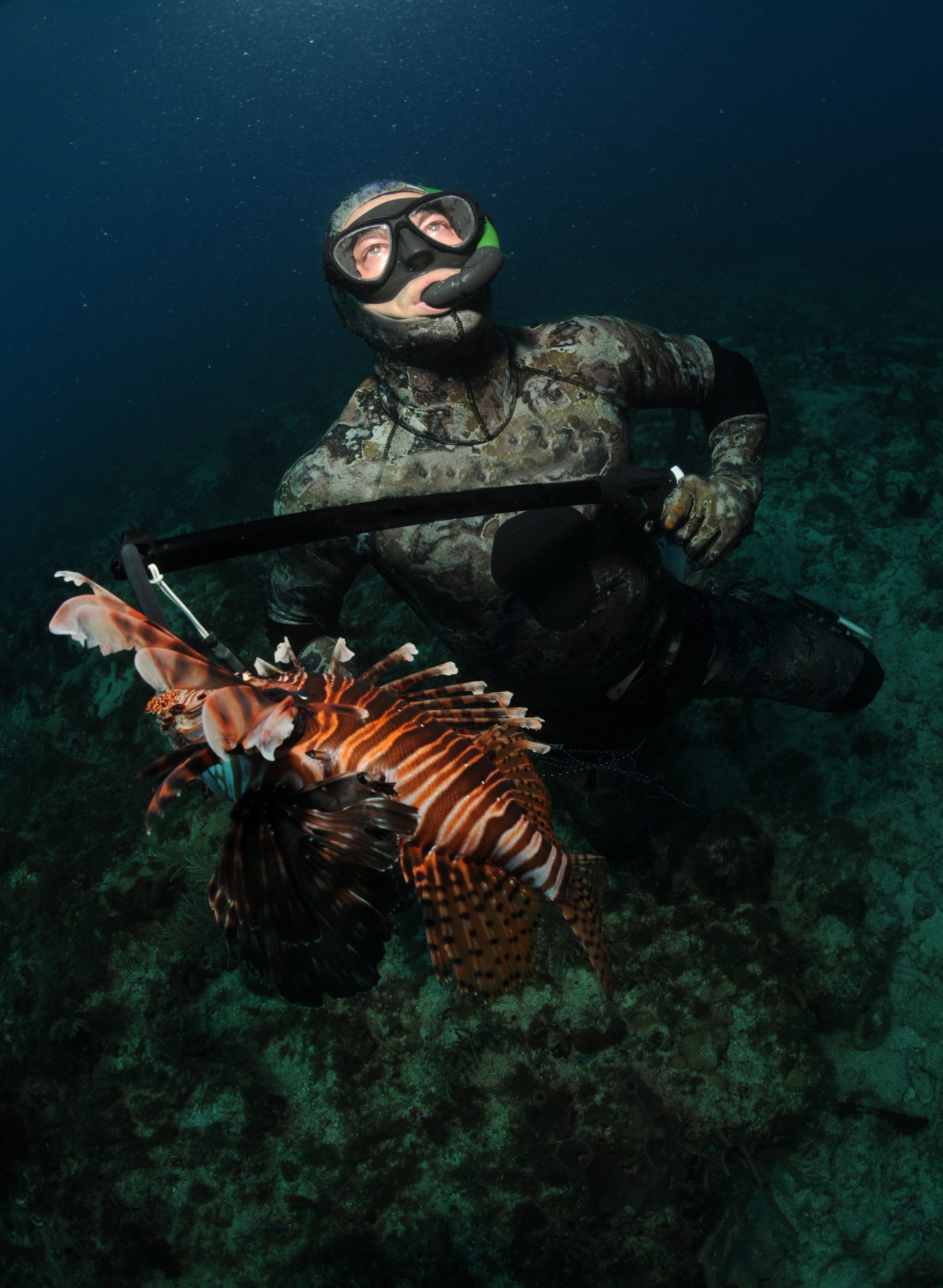 Freediver targeting lionfish in the Florida Keys