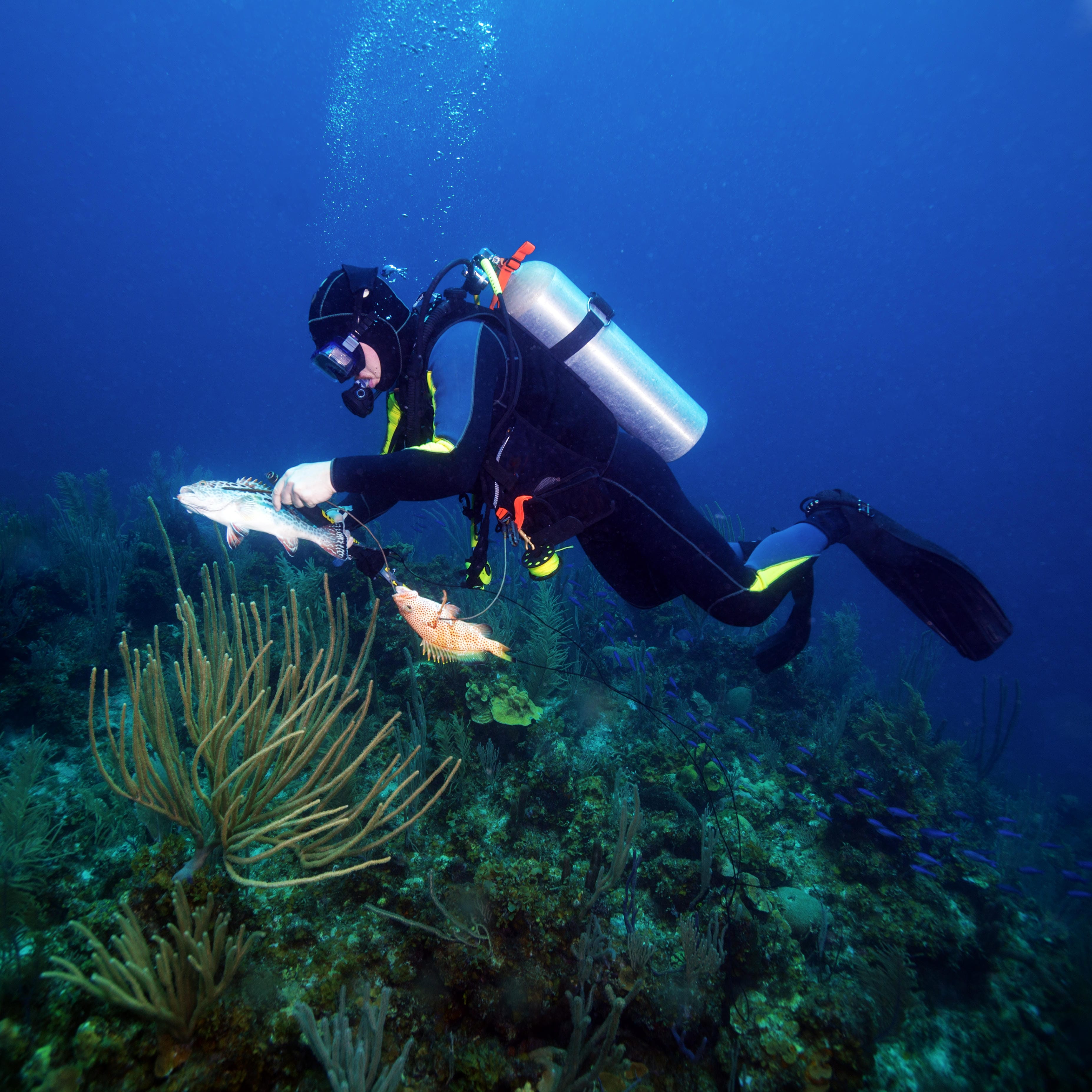 Captain assisting diver with gear preparation on a Key Largo spearfishing charter