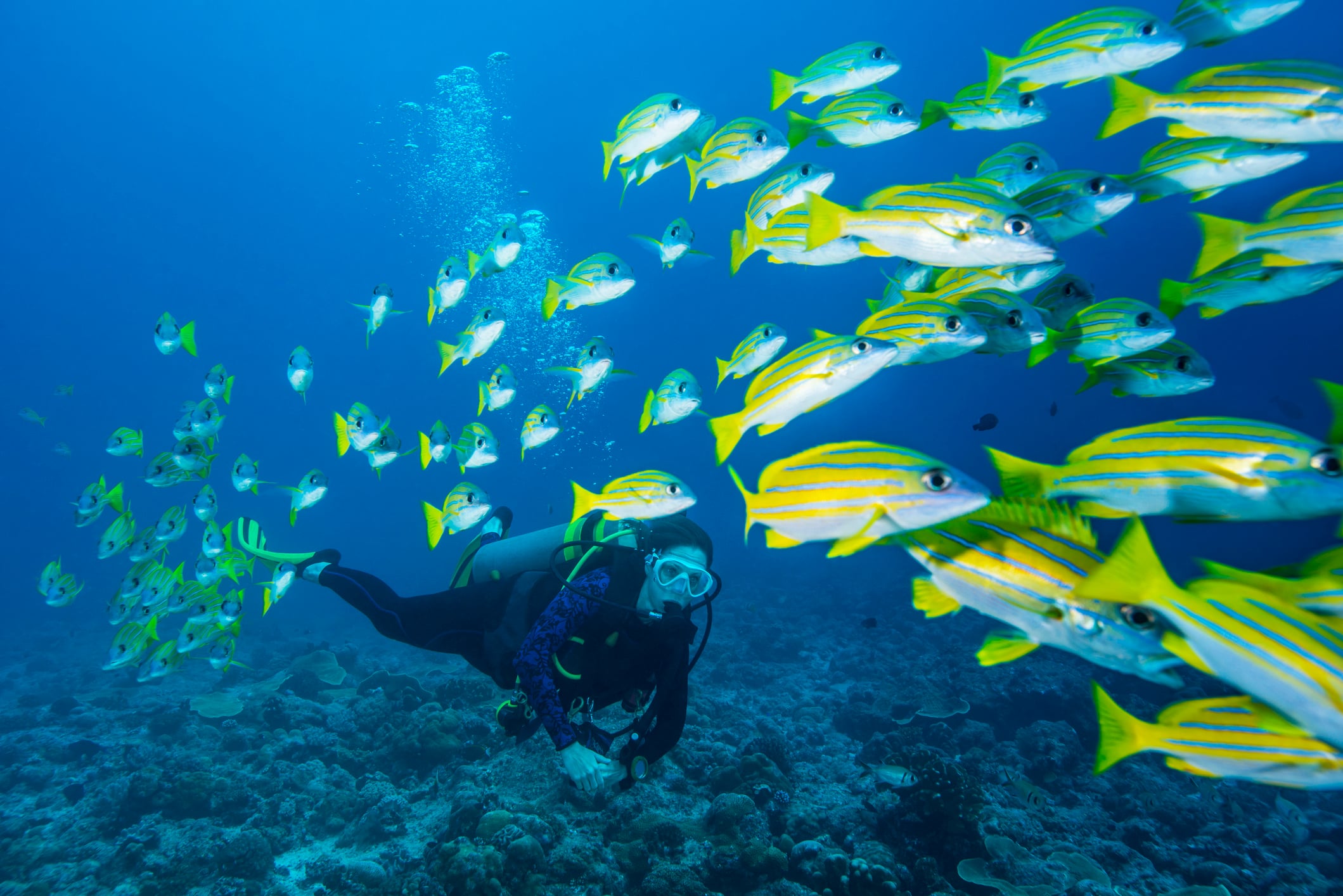 Key Largo dive guides hero