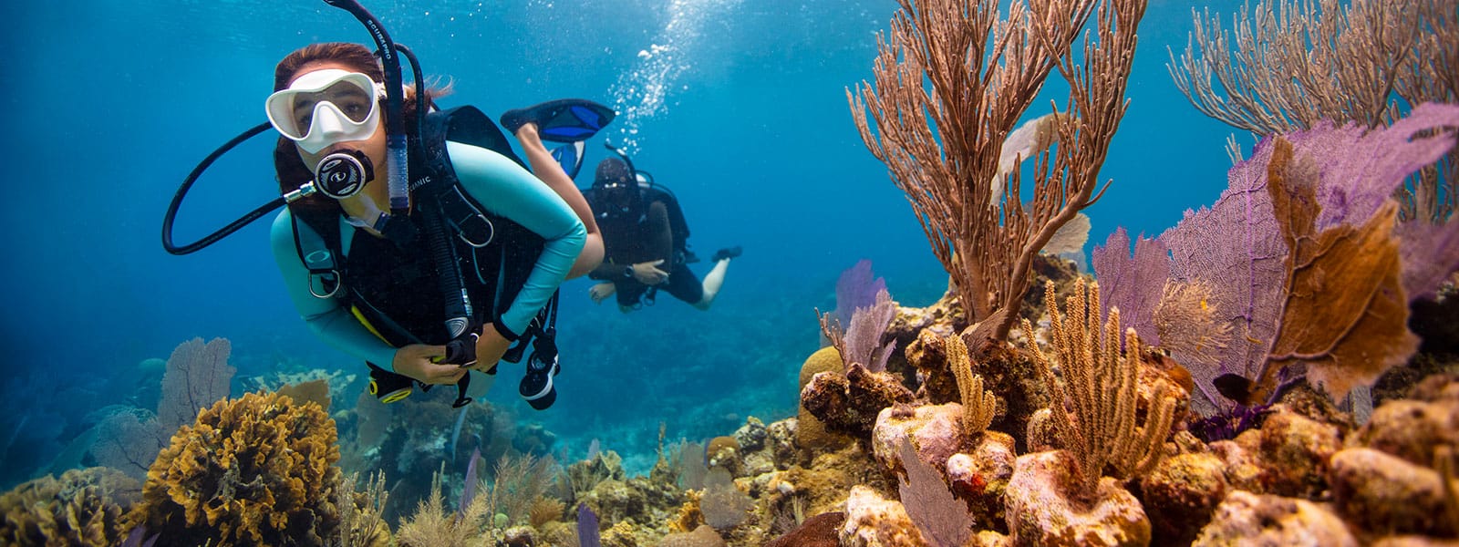 Private dive charter returning at golden hour