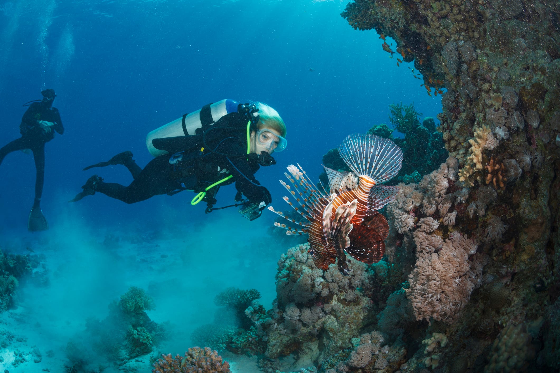 Lionfish on reef structure in Key Largo