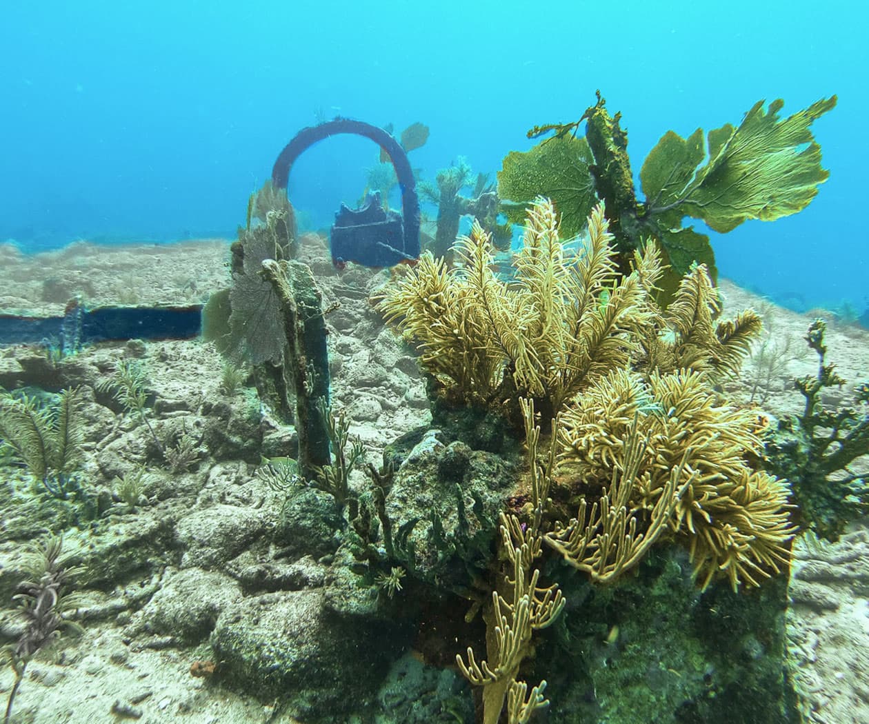 Private Dive Charter | Pennekamp State Park
