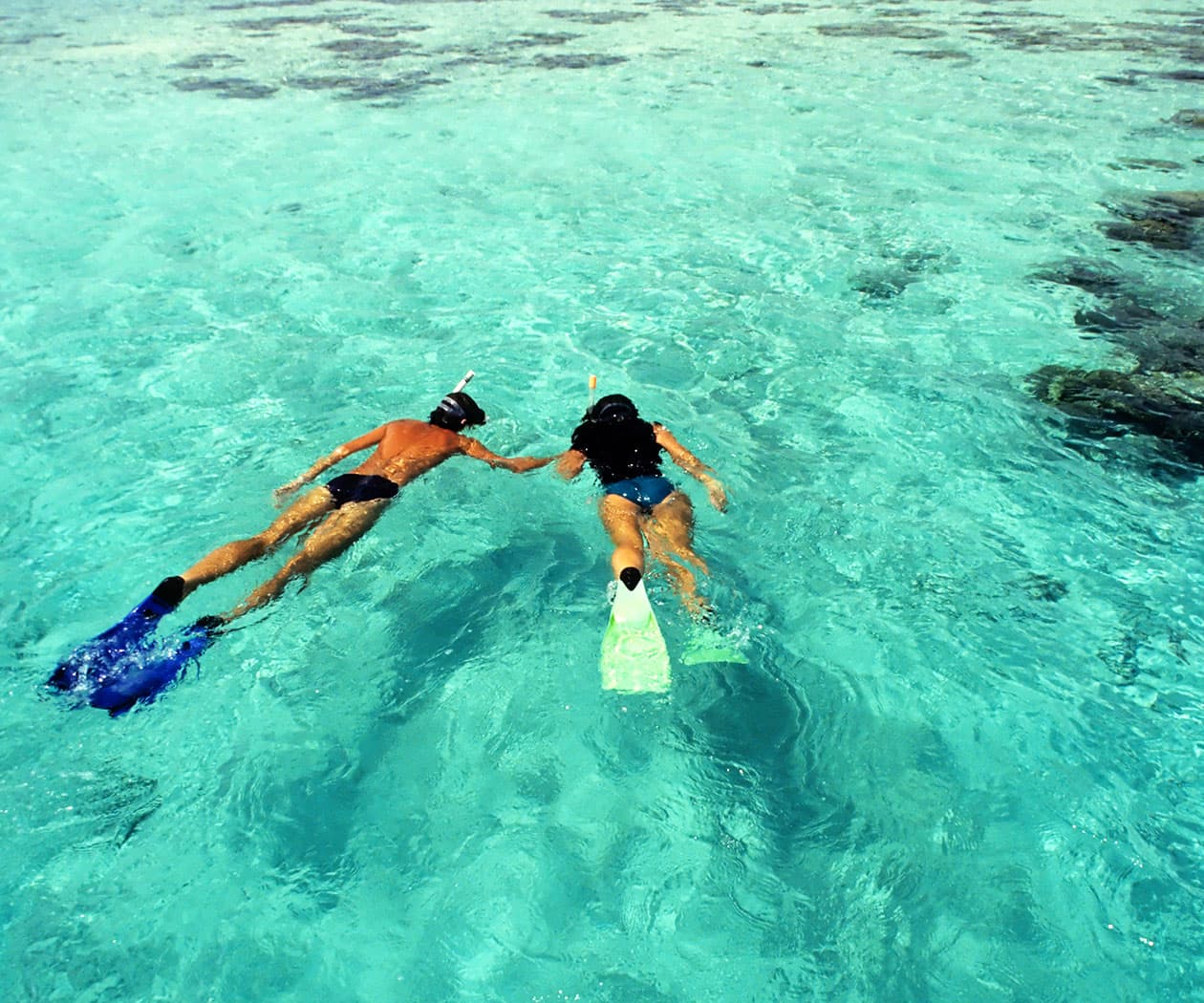 Guided Private Scuba Diving Charter