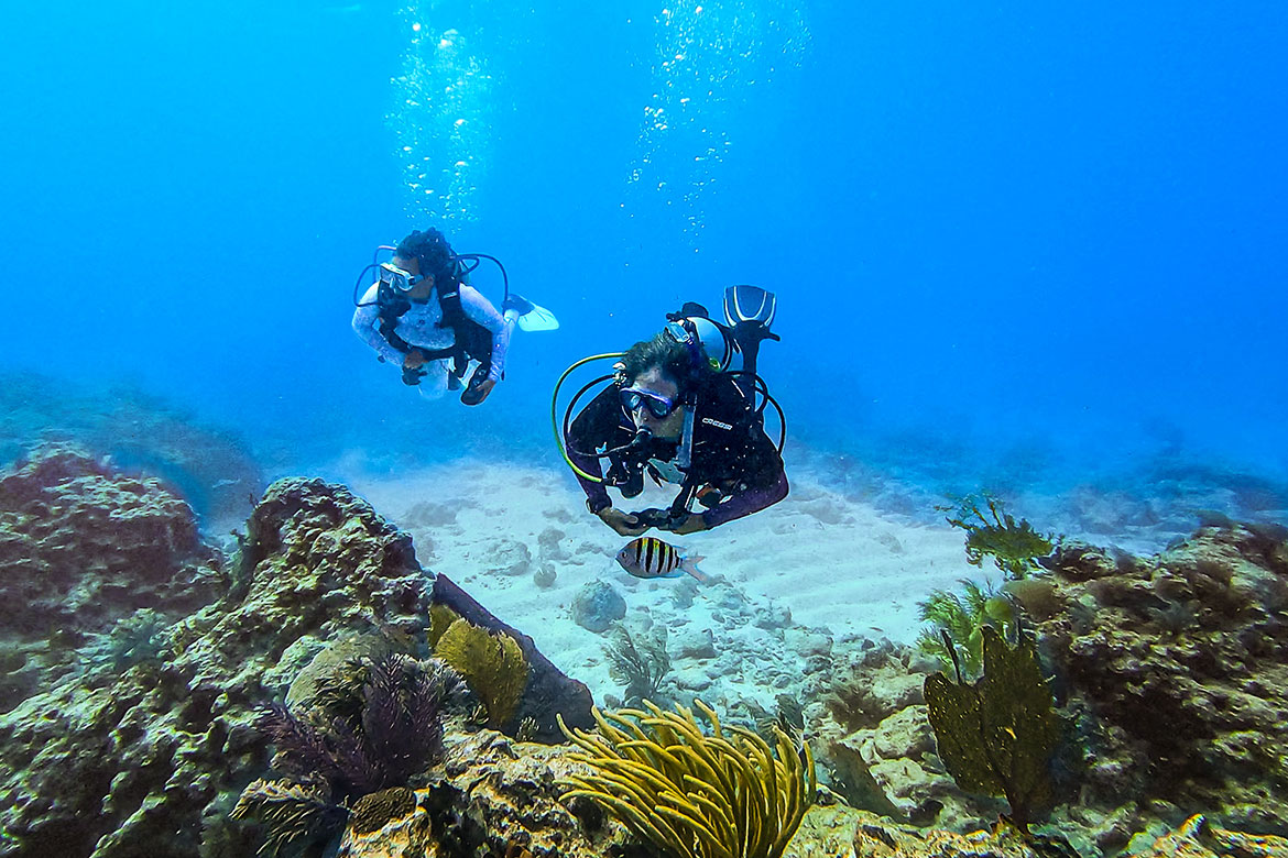 Coral reef dive scene