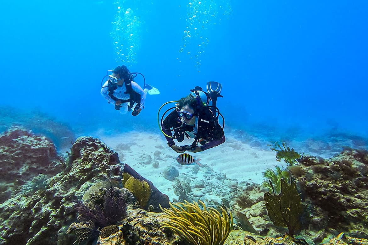 Conch Reef