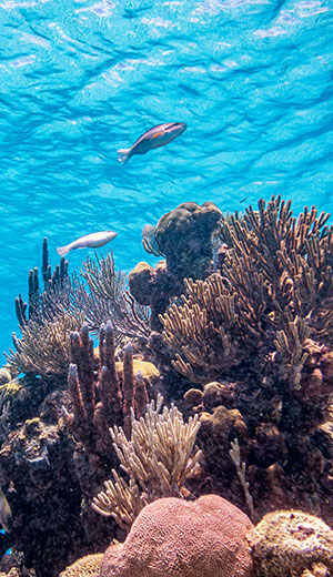 Key Largo dive boat during calm conditions