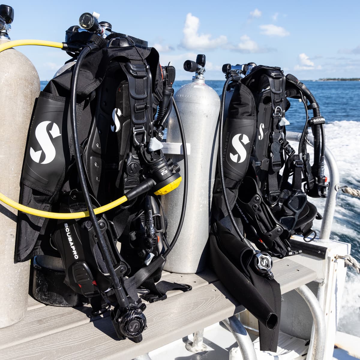 Professional dive guide briefing beginners