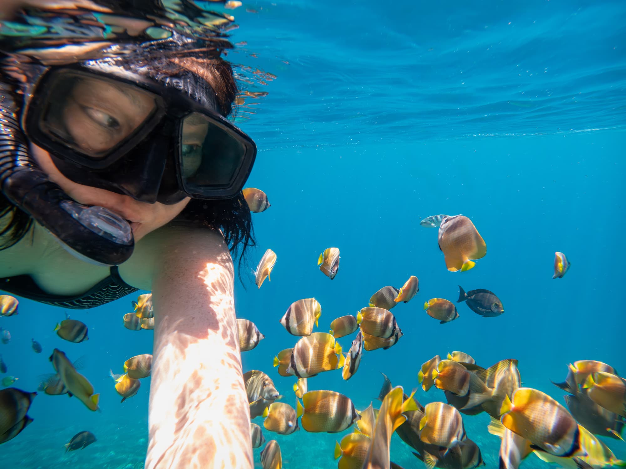 Snorkel First (Lower-Risk Start)