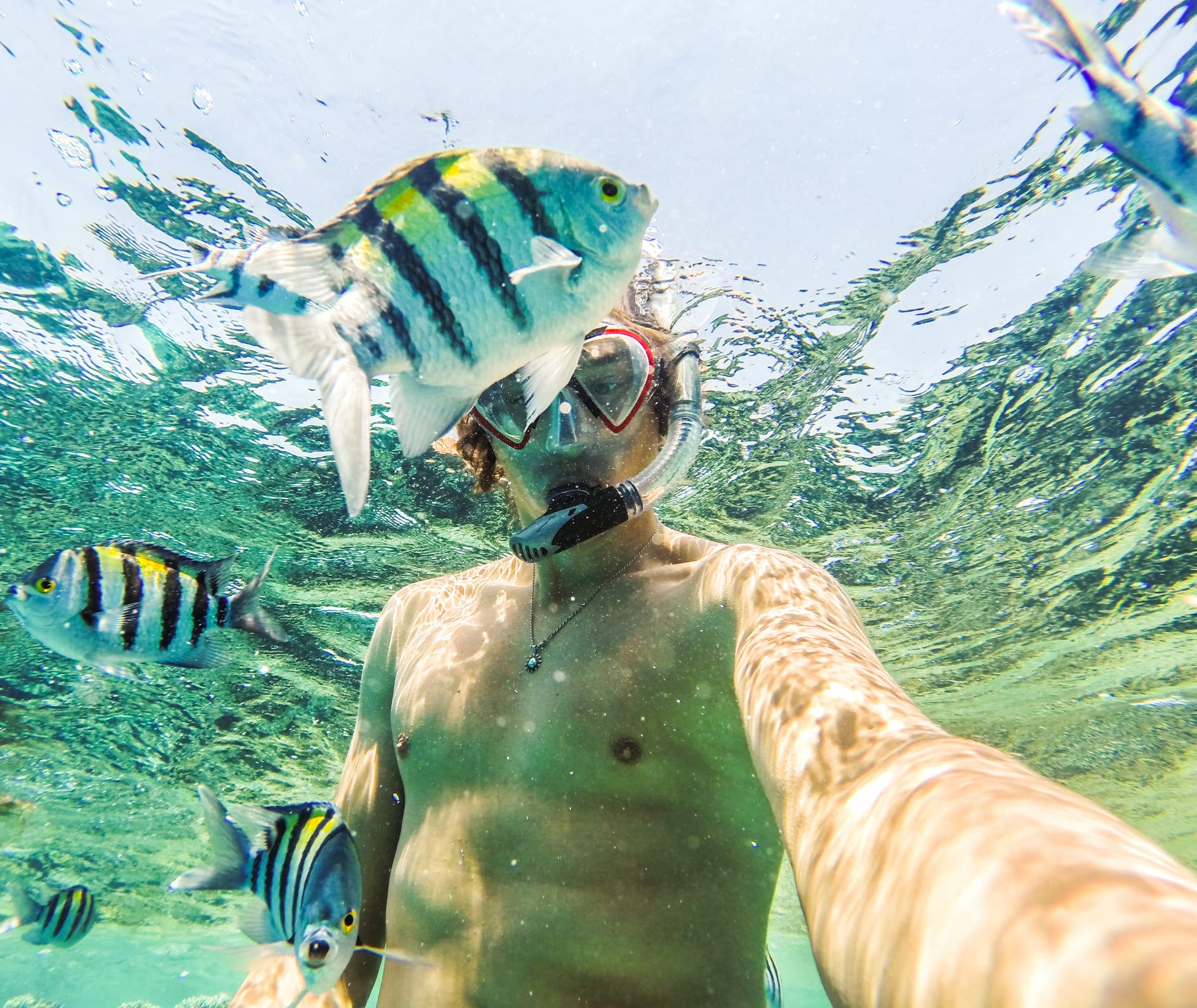 Family snorkeling together in Key Largo