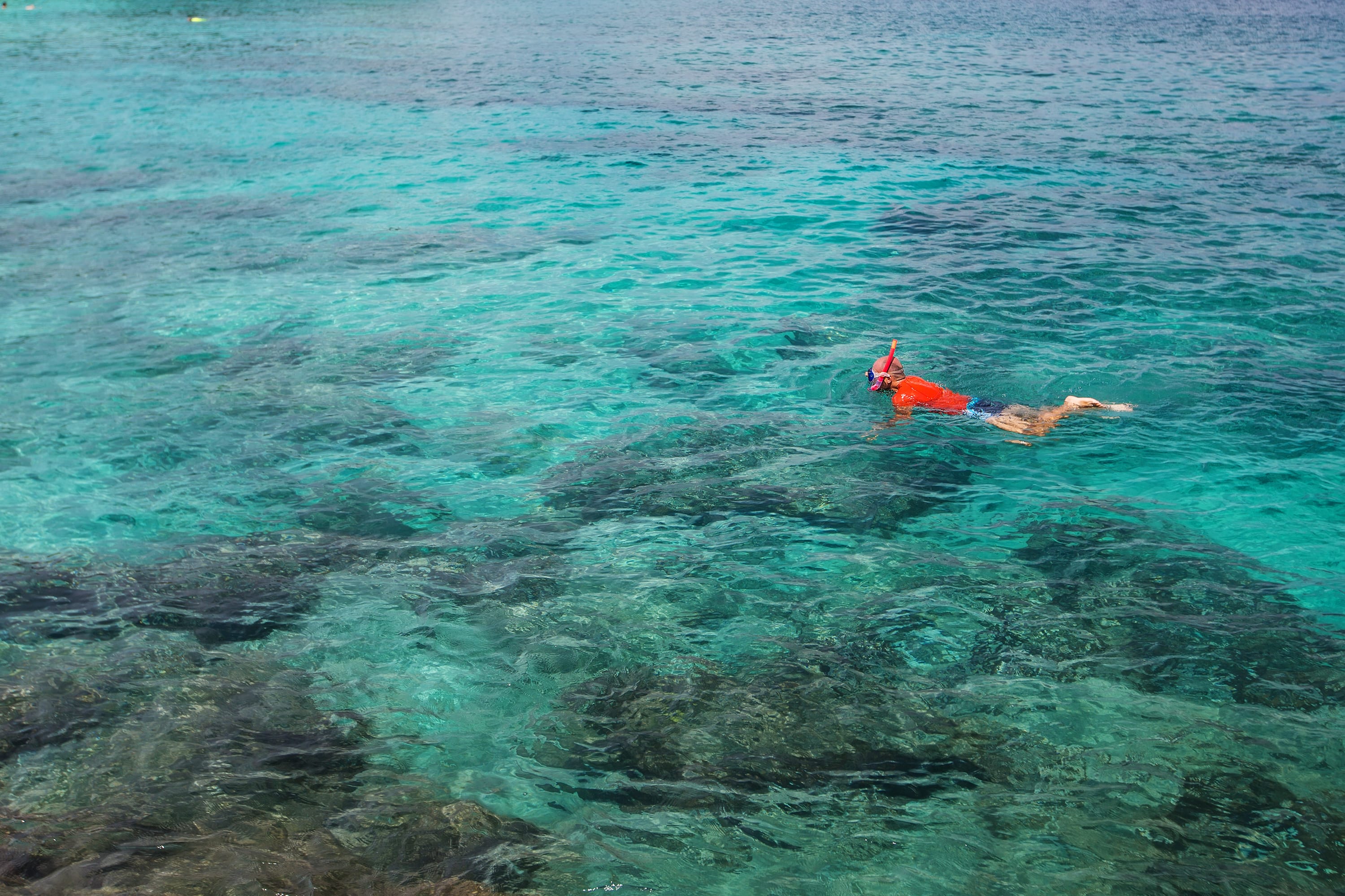 Key Largo snorkeling cancellation guidelines
