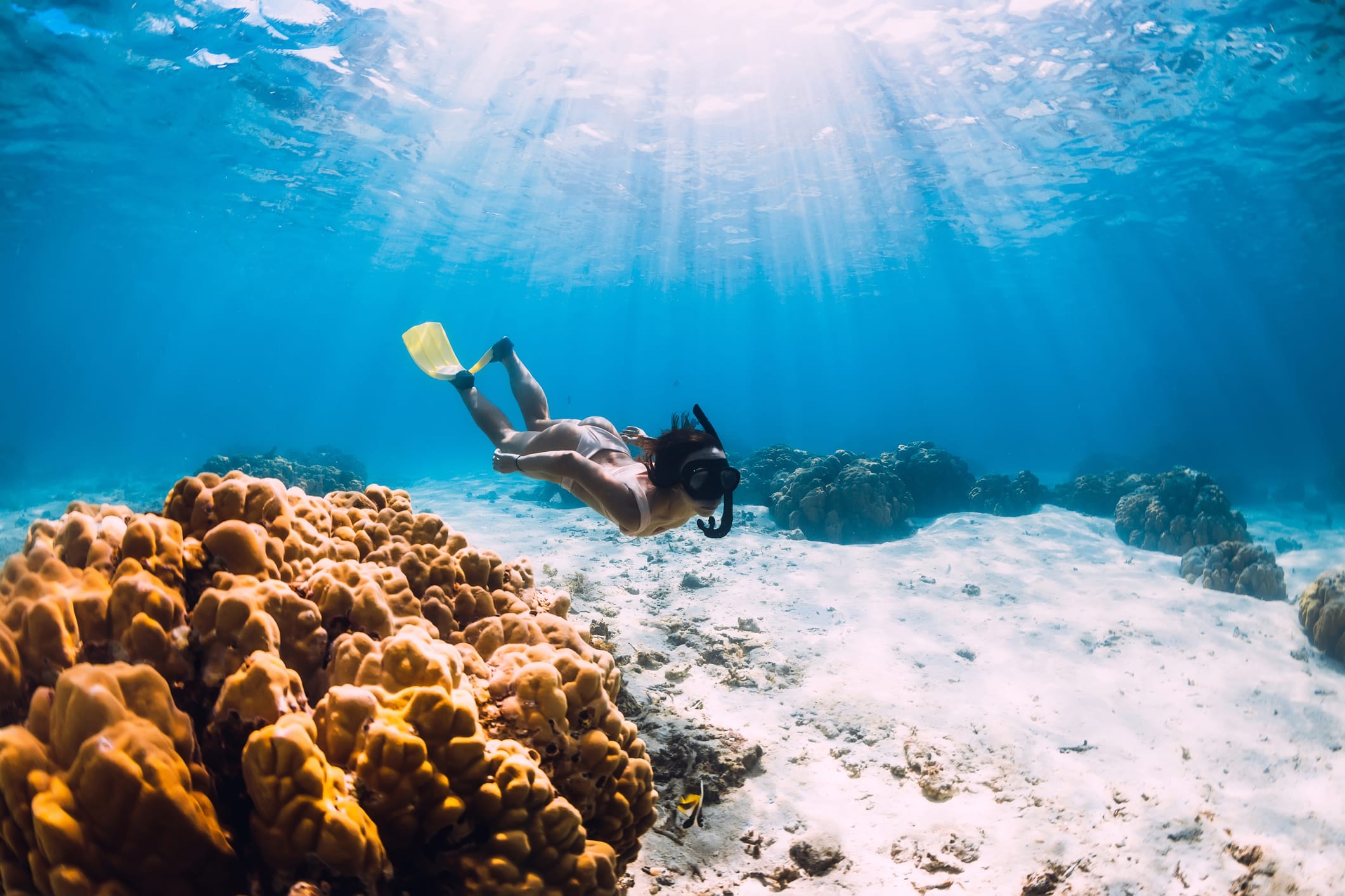 Key Largo snorkeling during warm water months