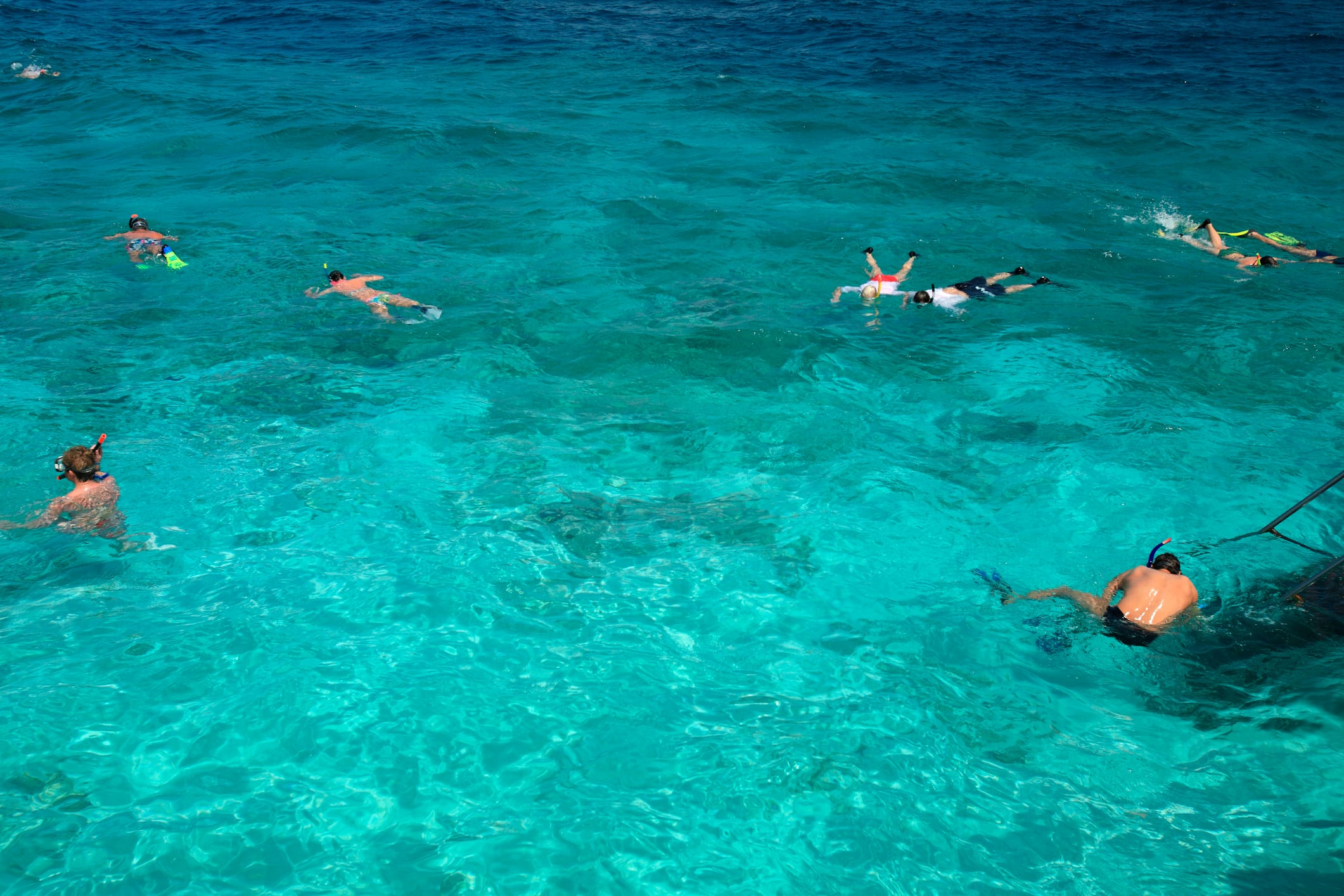 Key Largo snorkeling for beginners