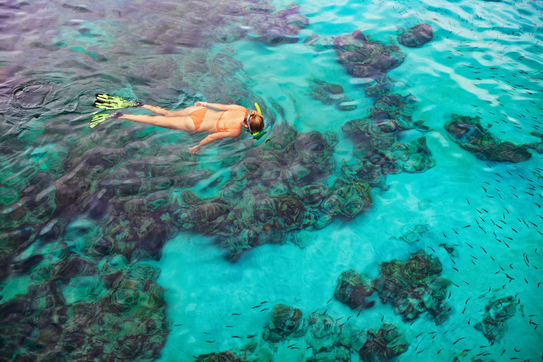 Key Largo snorkeling guides