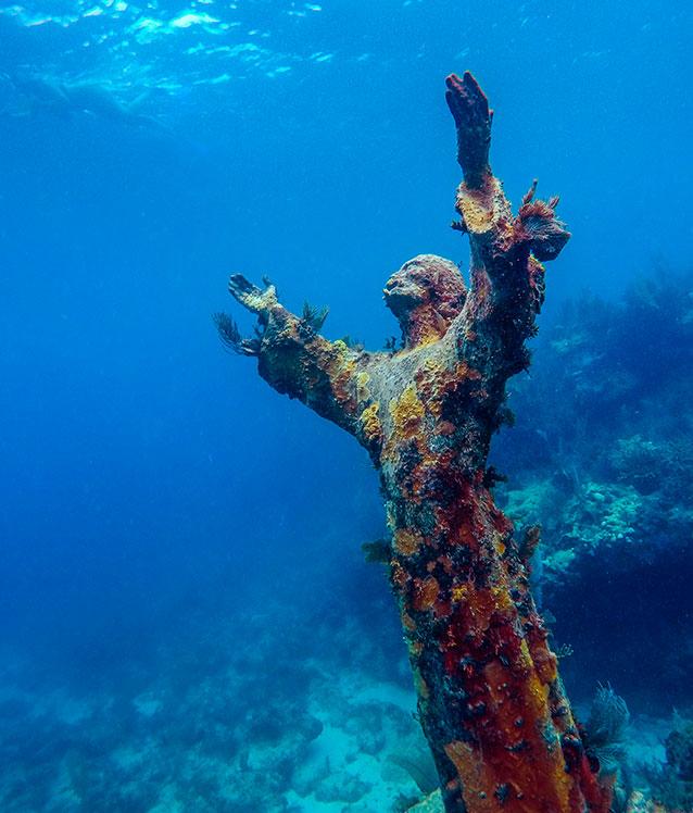 Key Largo snorkeling guests exploring coral reef
