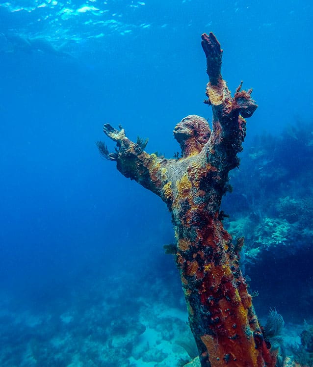 Key Largo snorkeling tour in the Florida Keys