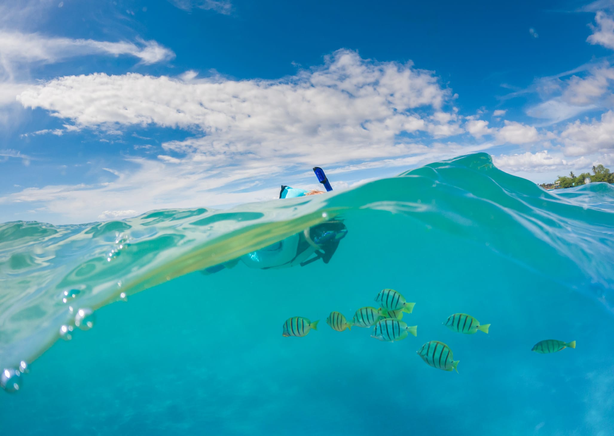 Key Largo snorkeling water temperatures