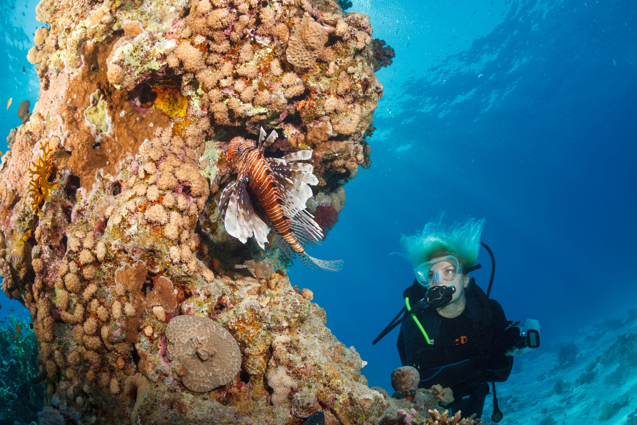 Small group reviewing lionfish catch on a boat in Key Largo