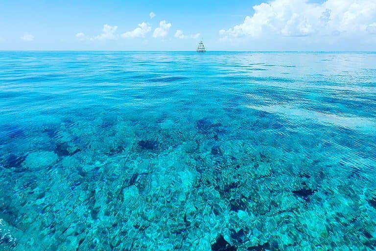 Key Largo Dive Trip | Molasses Reef