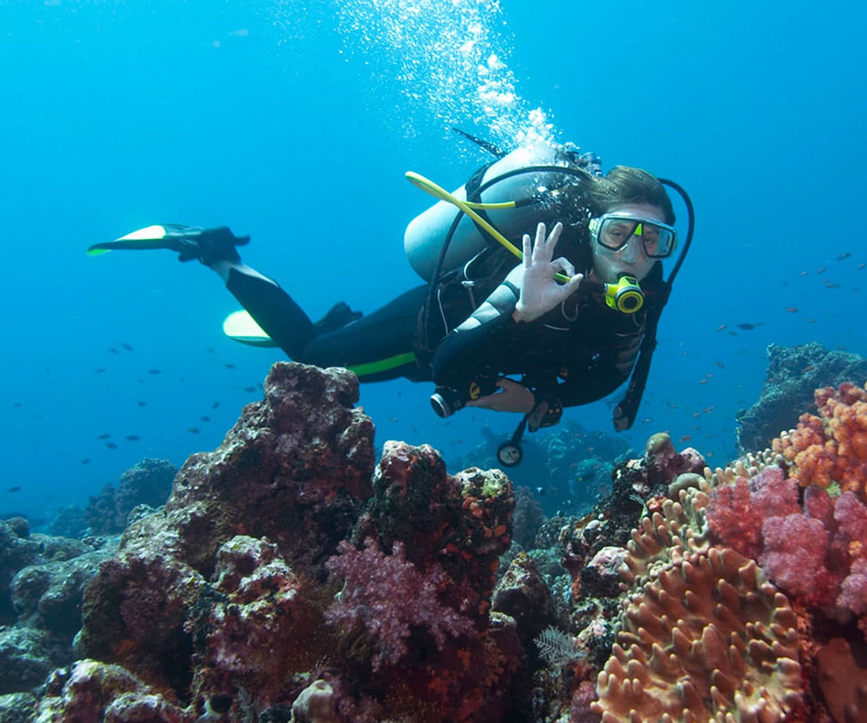 PADI Open Water Referral Course | PRIVATE COURSE