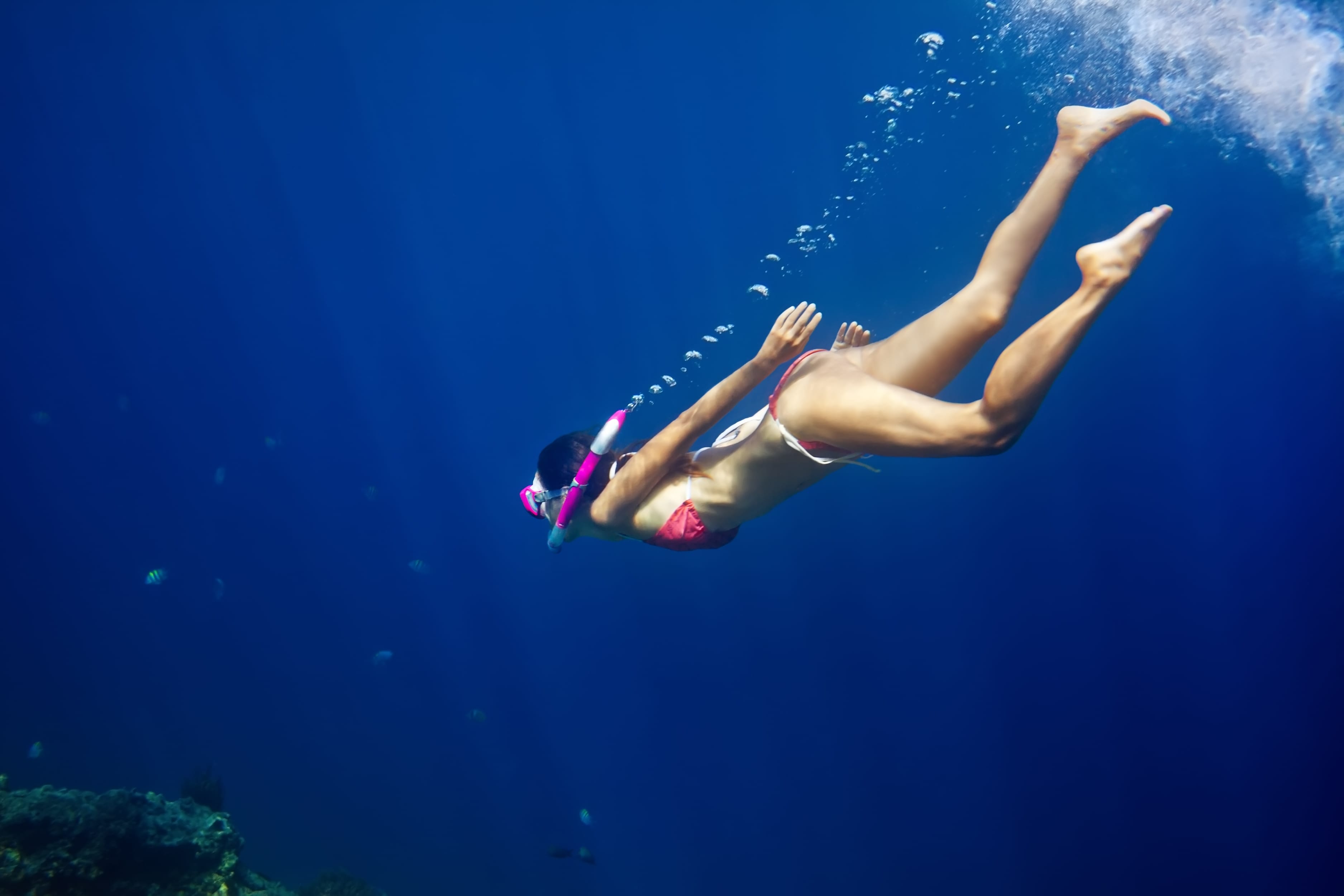 Plan your Key Largo snorkeling tour