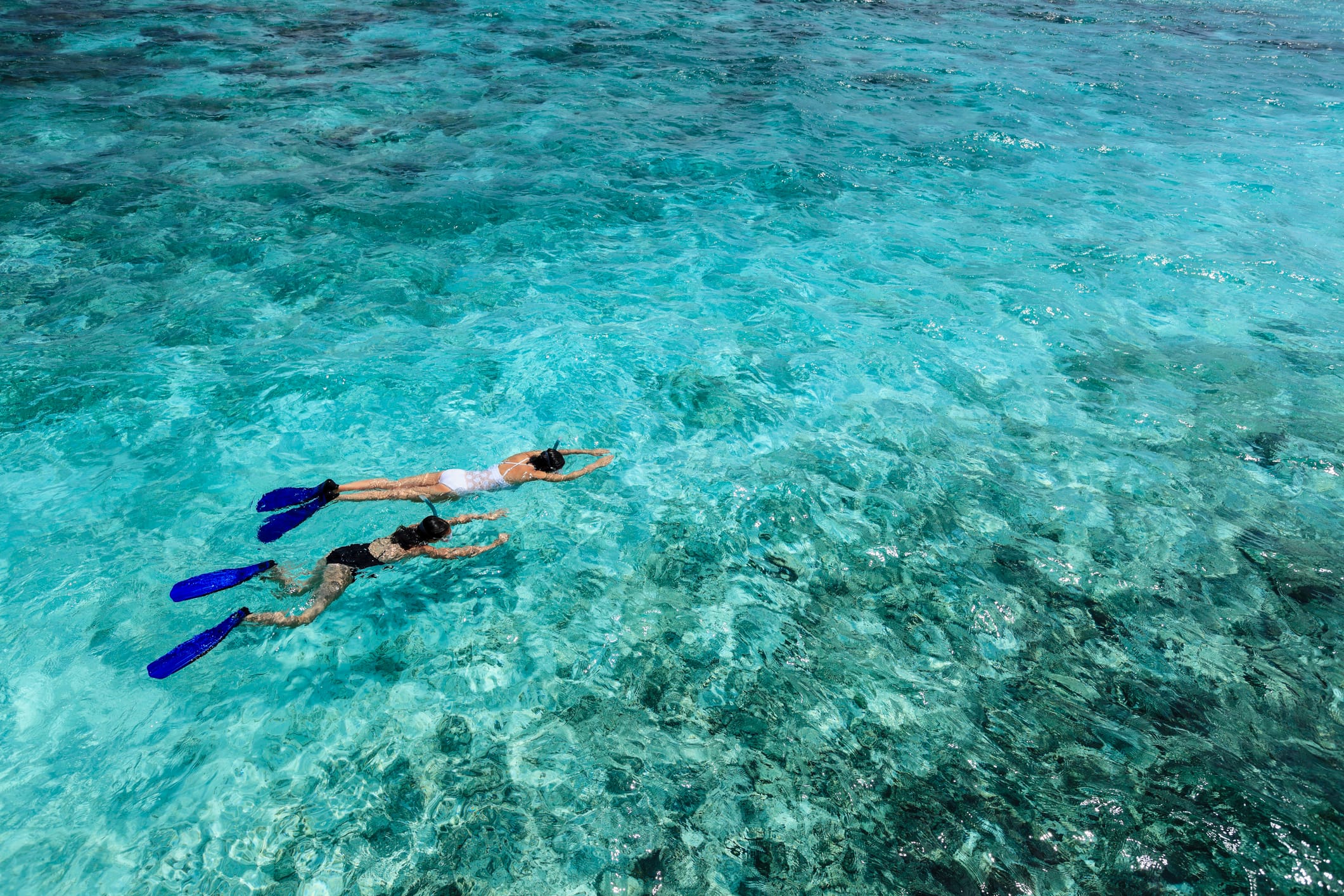 Key Largo snorkeling at different times of year