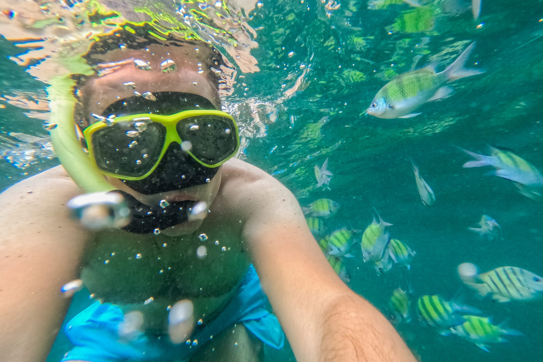 Snorkeling in Key Largo for the first time