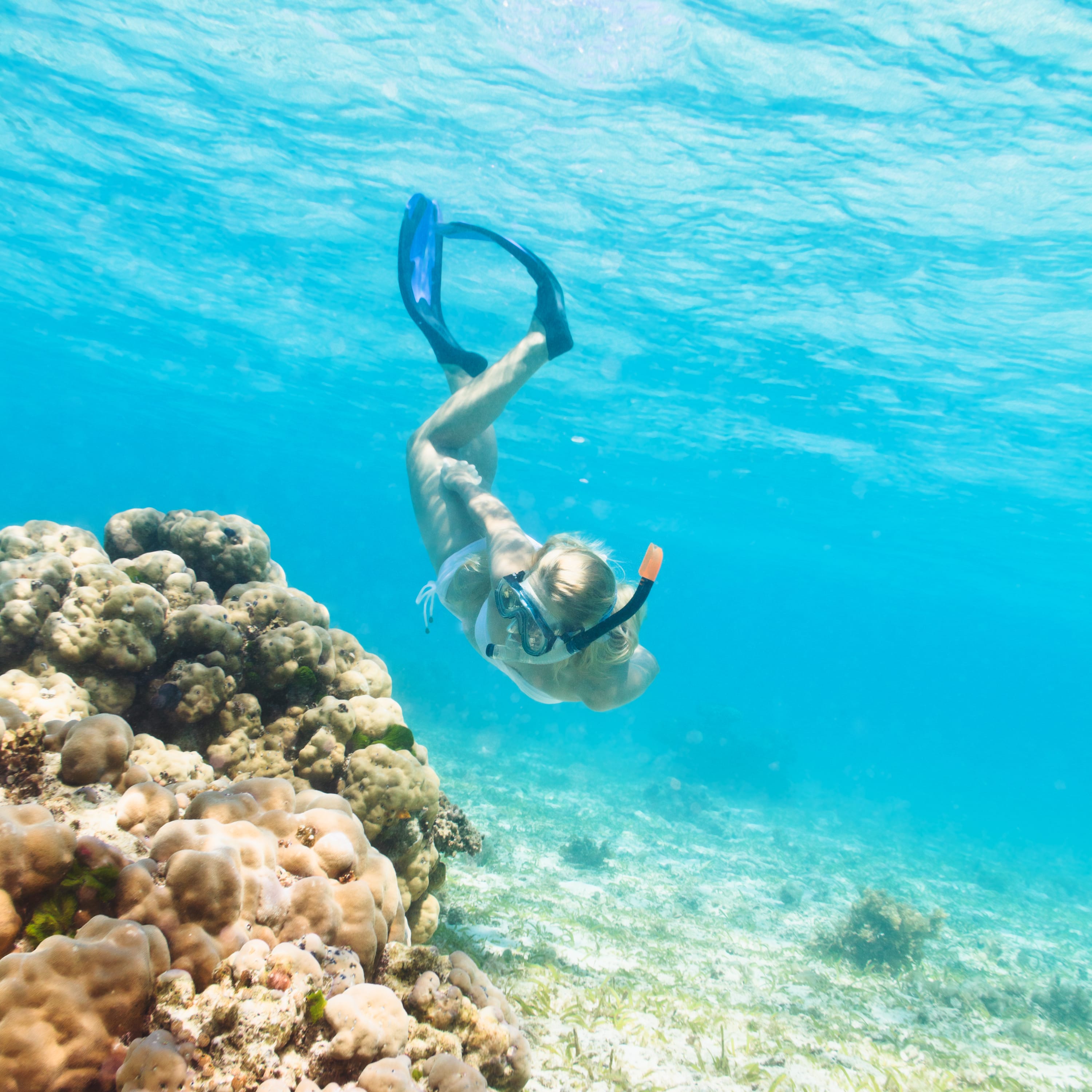 Private snorkeling tour in Key Largo
