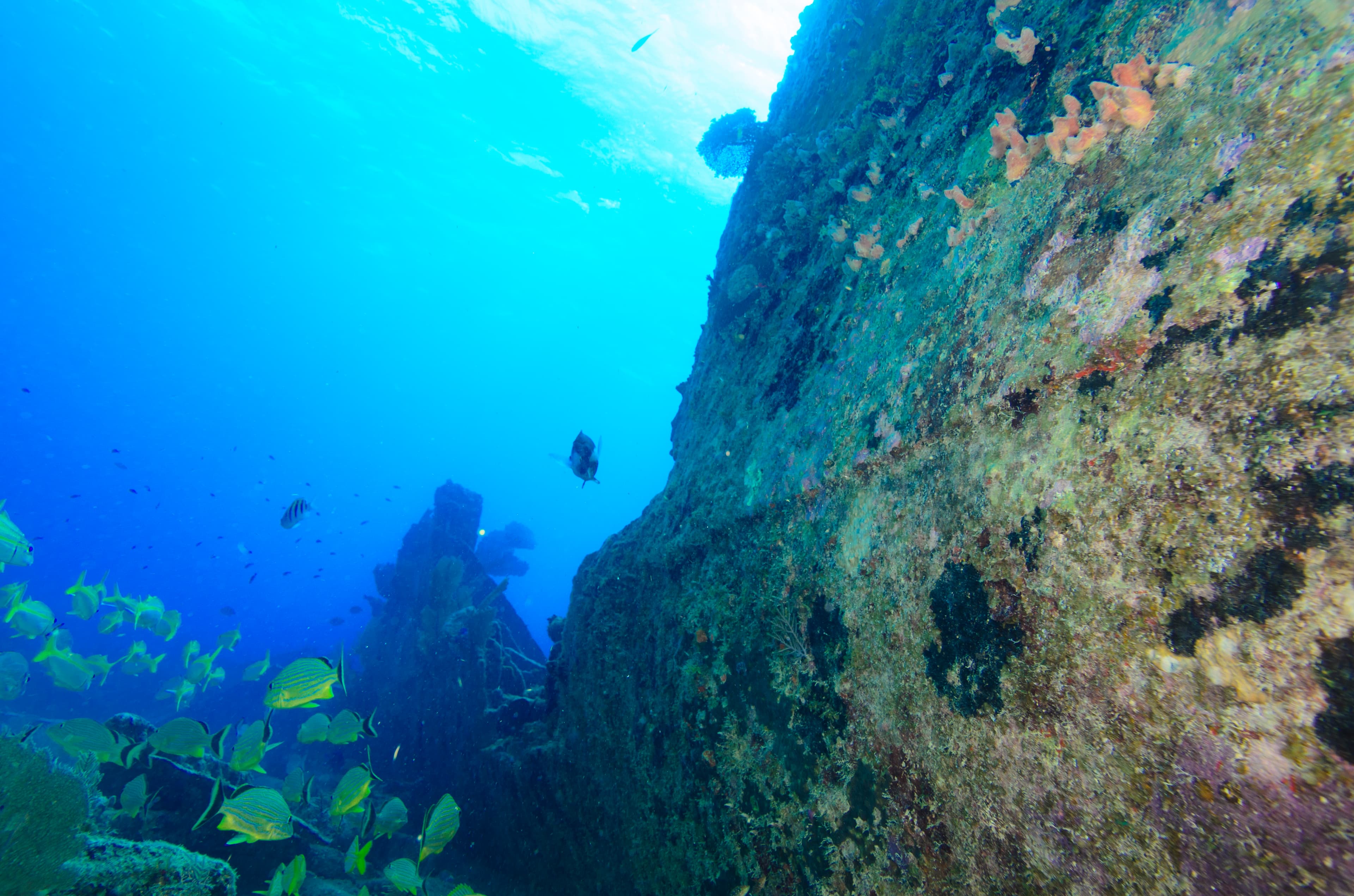 USCG Duane Wreck