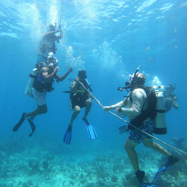 Open Water Referral Dives in Key Largo