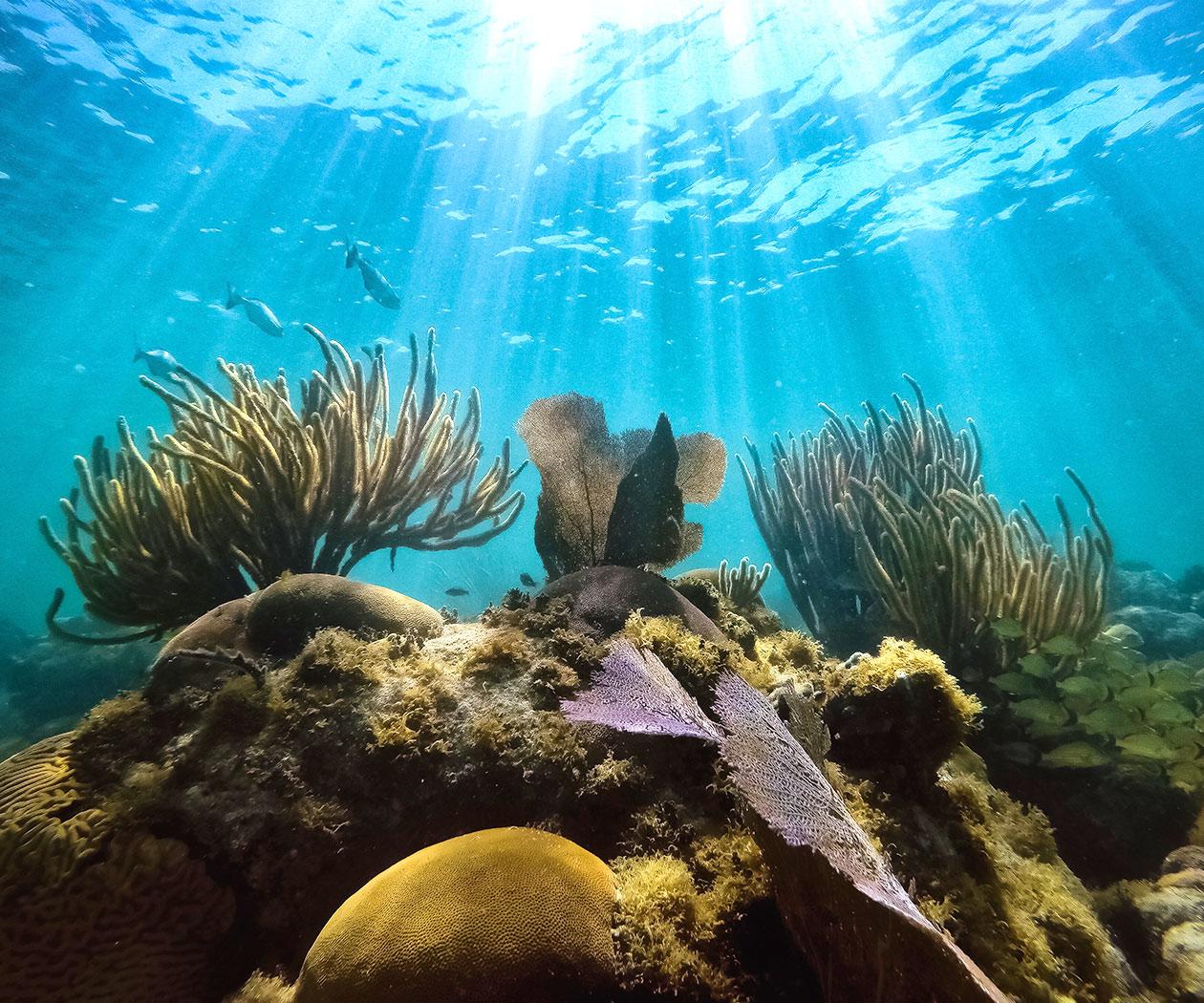 Key Largo sunset cruise photo 6