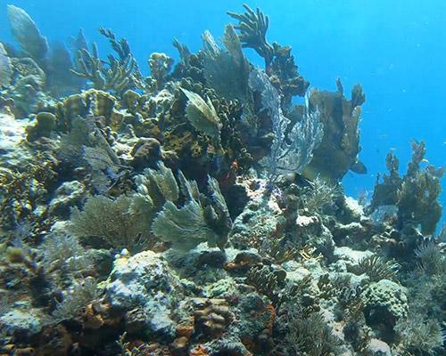 Key Largo sunset cruise photo 3