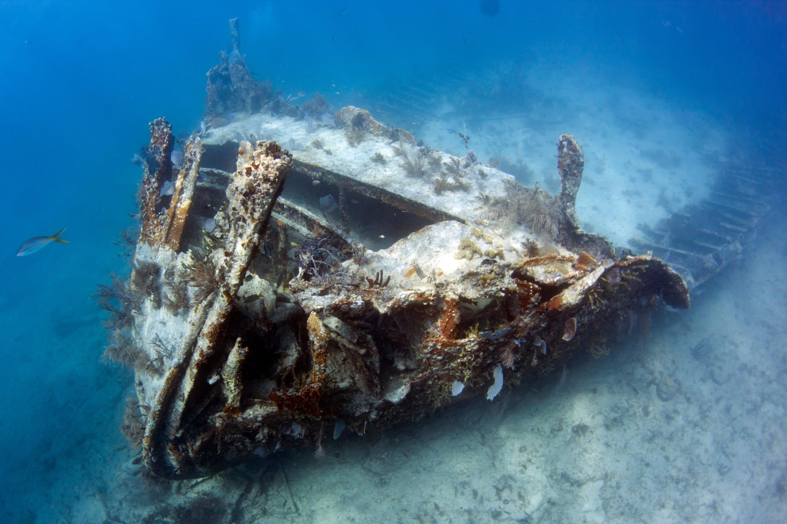 Benwood Wreck Dive Trip Key Largo